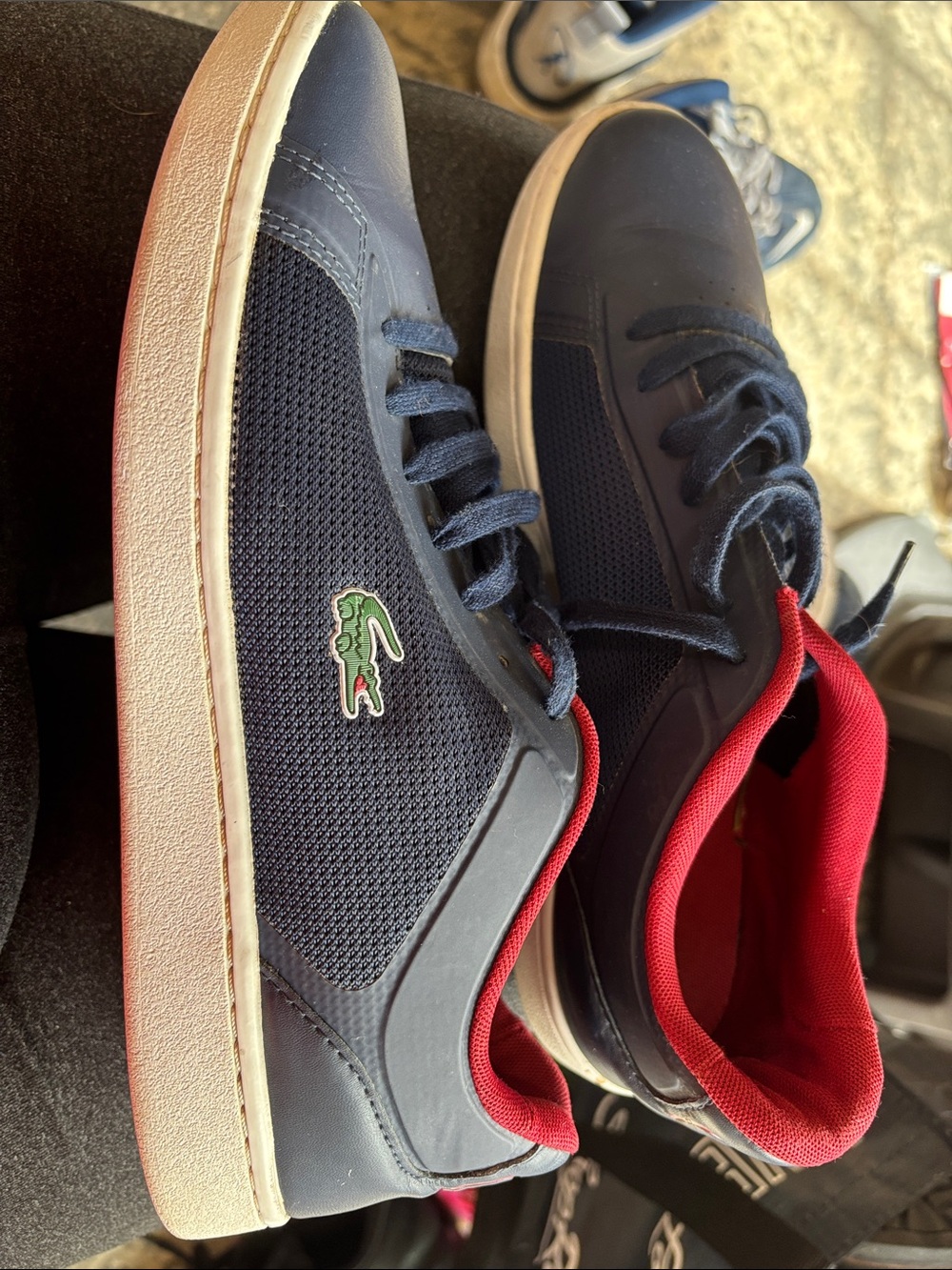Lacoste Men’s Navy Sneakers with Red Lining and White Sole